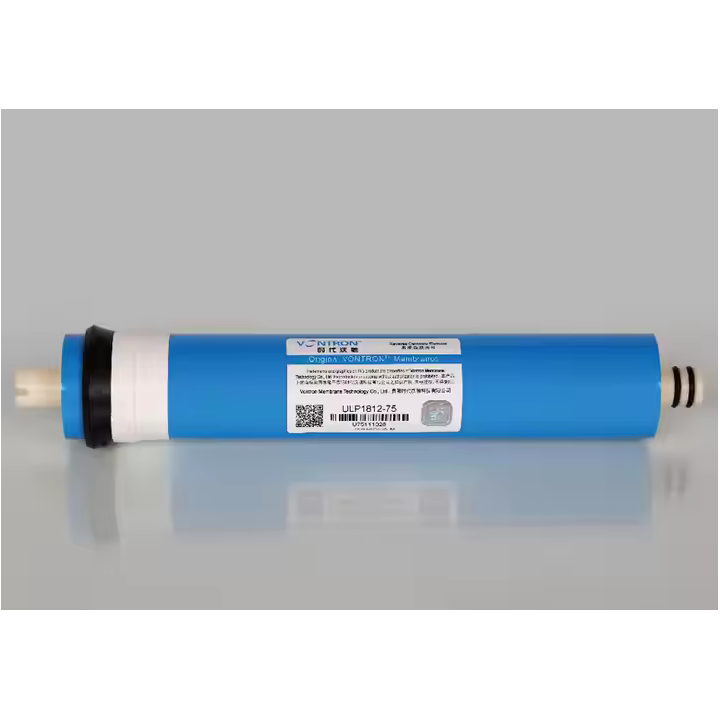 Membrane osmose inverse 100 GPD